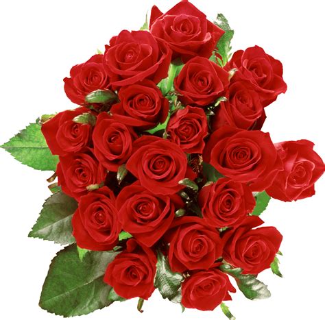 Bouquet Of Roses PNG HD Transparent Bouquet Of Roses HD.PNG Images ...