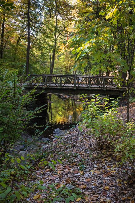 Sleepy Hollow Bridge | Landscape scenery, Tarrytown new york, Sleepy ...