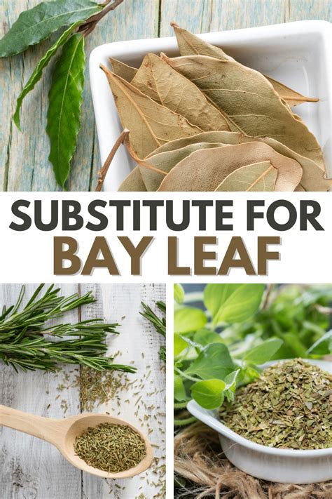 7 Best Substitutes For Bay Leaf