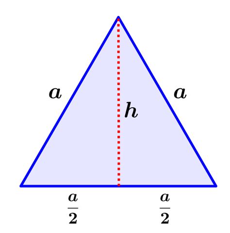 Height of an Equilateral Triangle - Formulas and Examples - Neurochispas