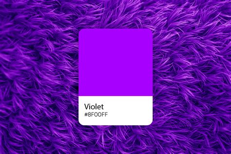 Violet Color: Its Meaning and How to Use it in Design - Picsart Blog