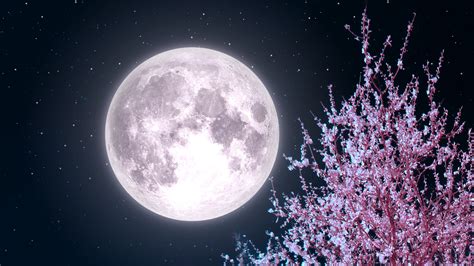 Pink Supermoon: The Biggest And Brightest Of 2020 | Star Walk