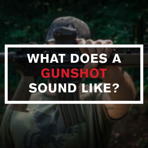 What Does A Gunshot Sound Like?