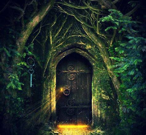 Magic Door (From Mystic Mermaid) | Portal art, The magic faraway tree ...