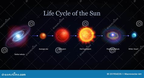 Sun Life Cycle Set stock vector. Illustration of space - 251954235