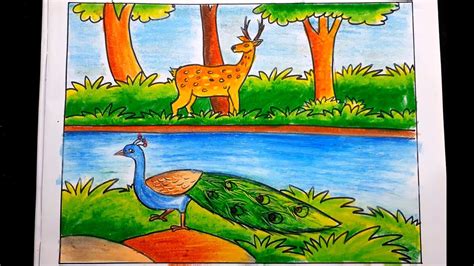 How to draw forest scenery step by step | forest scenery with animals | peacock drawing - YouTube