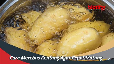 Cara Merebus Kentang Agar Cepat Matang - Biotifor