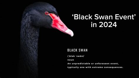 Black Swan Events In 2024 - Saree Gennifer