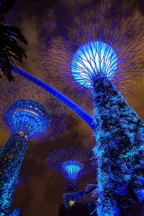 Gardens by the Bay Super Tree Grove Light Show Editorial Image - Image ...