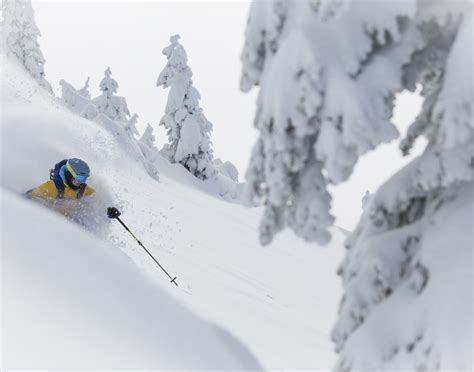 Revelstoke Mountain Resort | FREESKIER