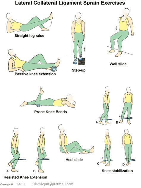 47 Therapy ideas | rehabilitation exercises, physical therapy exercises ...