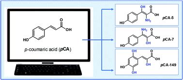 Computationally designed p-coumaric acid analogs: searching for ...