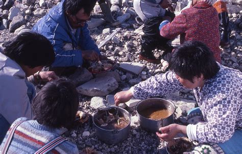 II.4: INUIT FOOD: 4. Cooking and Eating ~ People of the Arctic by John Tyman