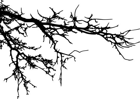 Branch Tree Silhouette Clip art - tree branch png download - 1452*1027 ...