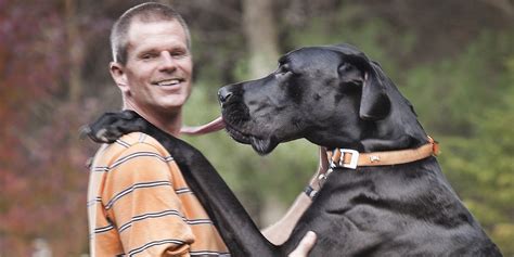 Rest In Peace Zeus, World's Tallest Pooch | HuffPost