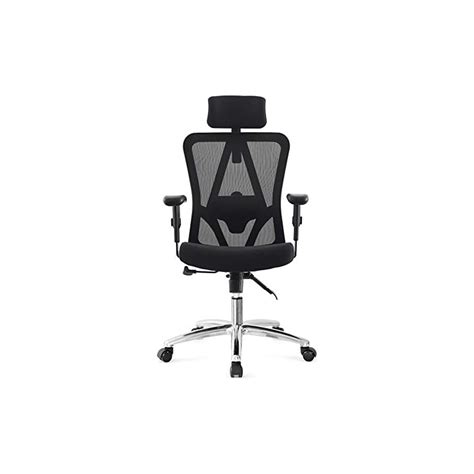 Ticova Ergonomic Office Chair with Adjustable Headrest, Armrest and ...