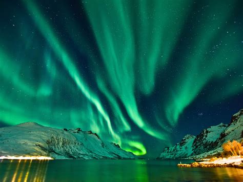 Northern Lights Tour Tromso Norway | Shelly Lighting