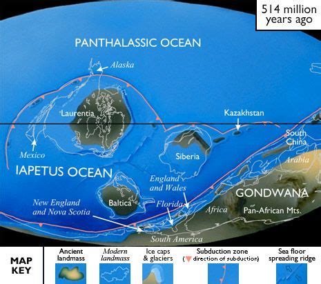 Cambrian Earth: 543 to 490 Ma ago. The supercontinent Panno-tia had begun to break up as the ...