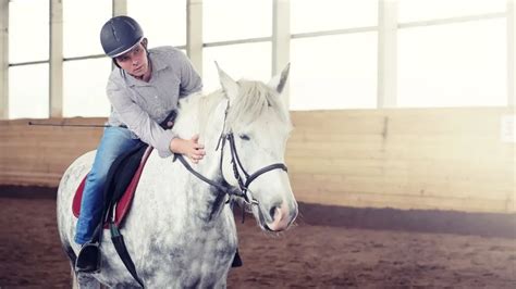 Top Horse Training Methods: Find The Right One For You