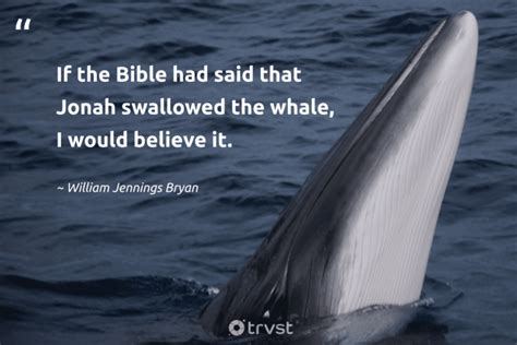 36 Whale Quotes To Help You Be Calm And Hopeful (2024)