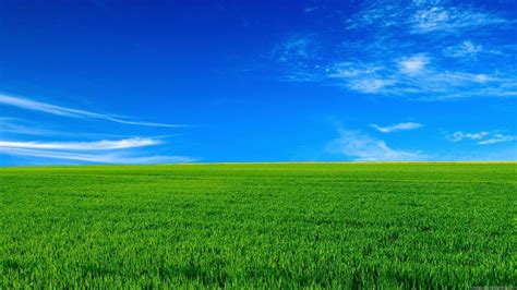 Green Grass Under Blue Sky HD Nature Wallpapers | HD Wallpapers | ID #45110