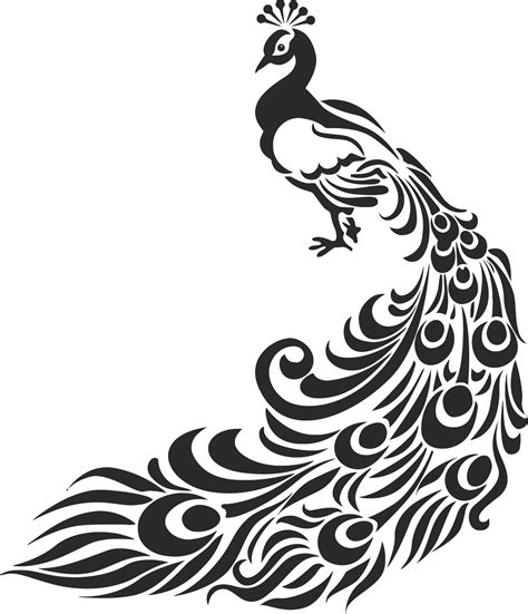 Peacock Stencil Free Vector cdr Download - 3axis.co