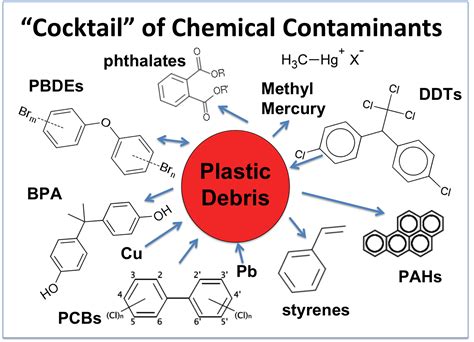 Is life in plastic really fantastic? : Toxic chemicals make for poisonous plastic