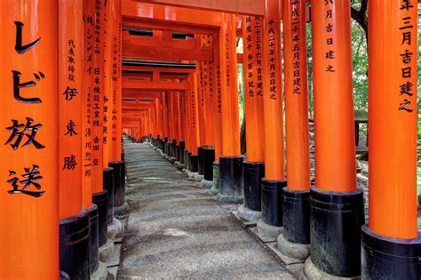 Japan, Kyoto Torii Gates Photograph by Jaynes Gallery | Pixels