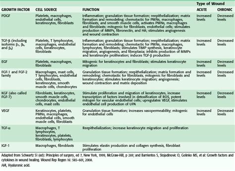 Wound Healing | Thoracic Key