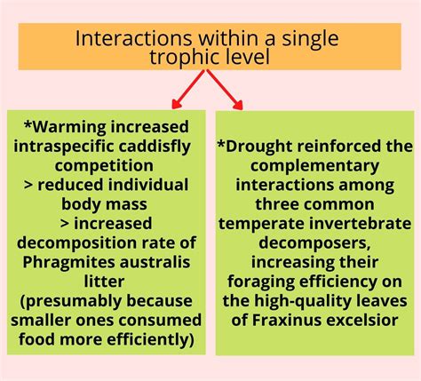 Climate Change & Arthropod Detritivores – Science? No more complicated