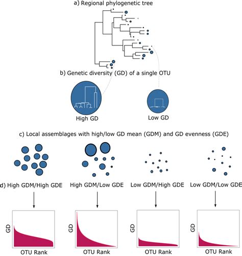 Diagram illustrating genetic diversity mean (GDM) and genetic diversity ...