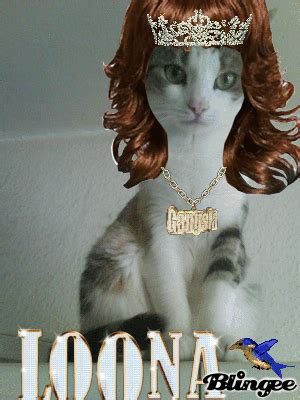 gangsta cat Picture #92434823 | Blingee.com