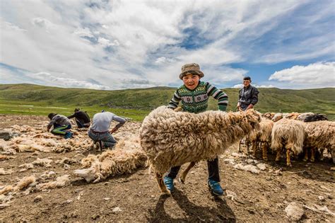 Photos: Inside the lives of Mongolia's nomads | Adventure.com