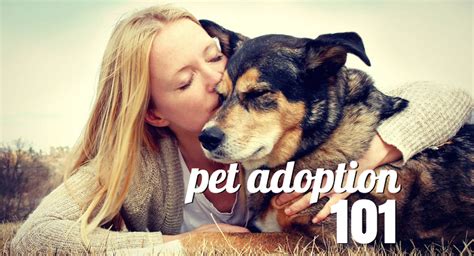 Pet Adoption Process 101