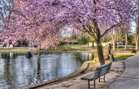 McKinley Park, Sacramento CA | there's also a huge wooden play ...