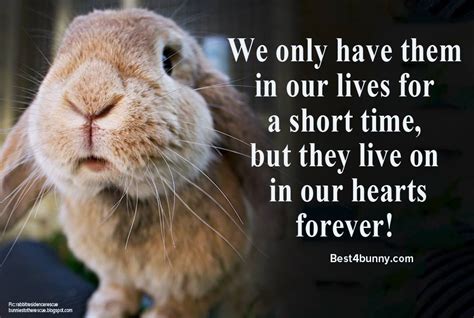 We only have them in our lives for a short time, but they will live on in our hearts forever ...