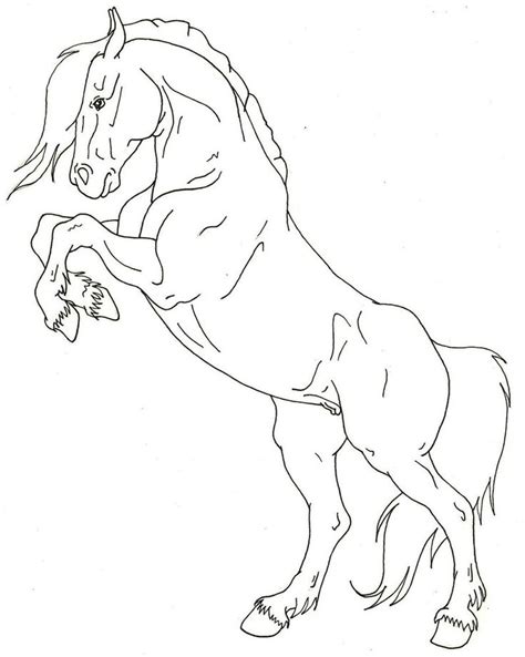 Outline Horse Rearing Drawing - Rearing Horse | Bodksawasusa