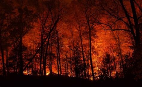 46K acres burned in NC wildfires; new evacuations ordered as fire grows ...