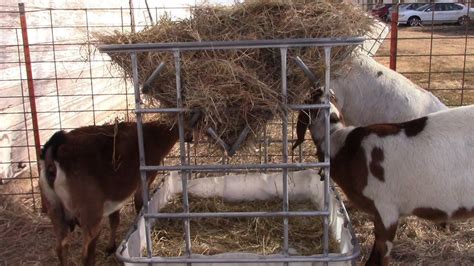 Easy DIY Hay Feeder For Goats or Calves | Diy hay feeder, Hay feeder, Goat hay feeder