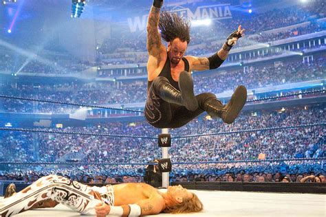 Undertaker Vs Shawn Michaels Wrestlemania 25