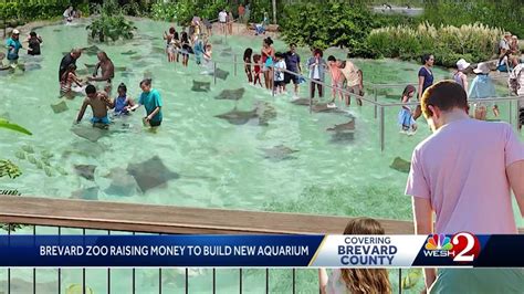 Brevard Zoo secures $55 million for new aquarium - YouTube