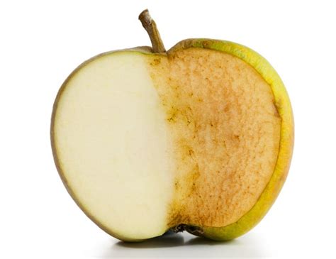 Why do apple slices turn brown after being cut? | Scientific American