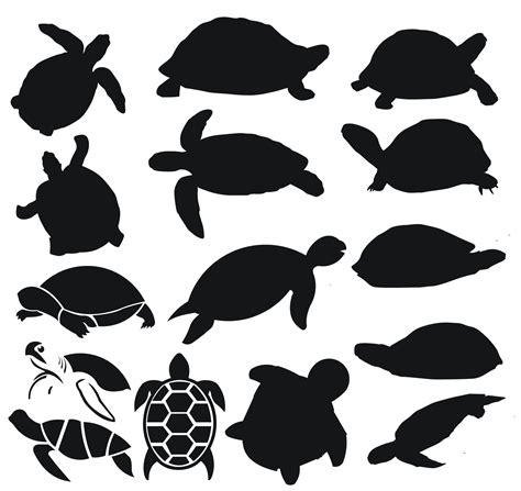 Sea Turtle Silhouette Clipart Set Digital Turtles Reptiles - Etsy Hong Kong