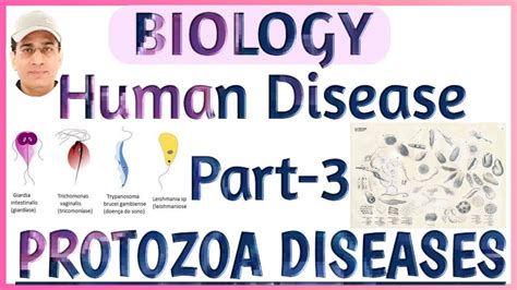 Protozoa Diseases part-3 of Human diseases (with Ajay Singh Sir) - YouTube