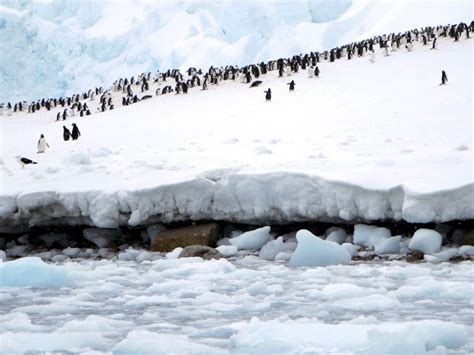 Antarctic Peninsula Has Cooled, but Warming Will Win | Climate Central