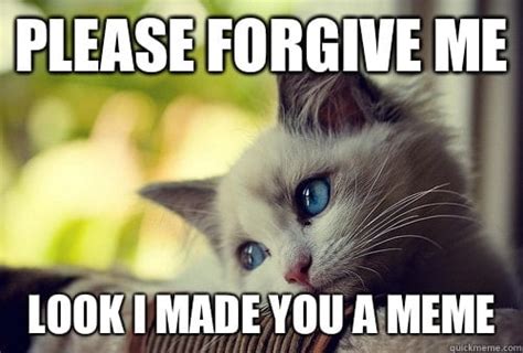 20 Forgive Me Memes That'll Show How Sorry You Are | SayingImages.com