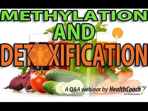 Methylation and Detoxification - YouTube