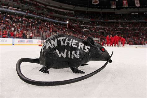 The Florida Panthers' Enduring Rat Tradition Started With a Real Rodent ...