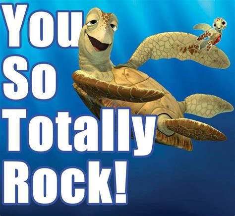 an image of a sea turtle with the words you so totally rock