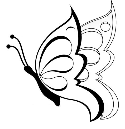 Butterfly Sketch Drawing Pictures - Drawing Skill